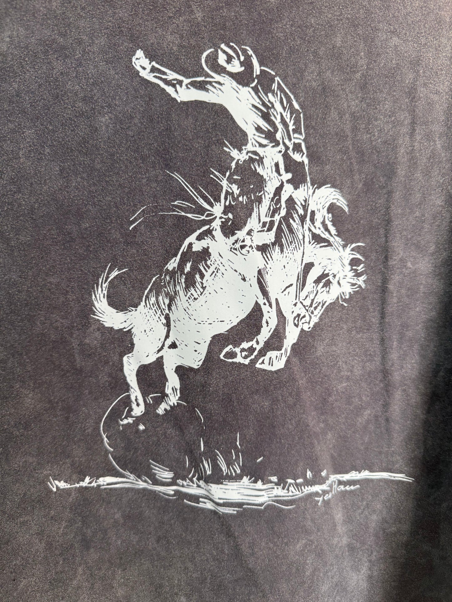 grey long crop bronc