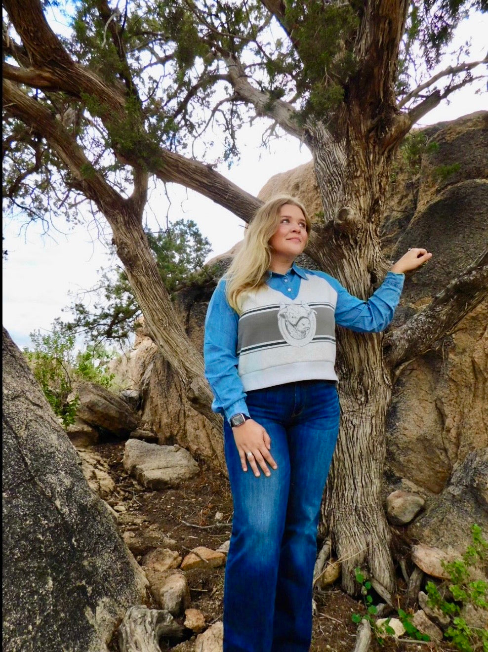 Chambray &sweater top
